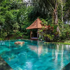 Sari Bamboo Villas Villa